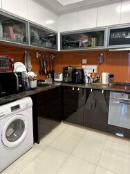 Sant Ritz (D13), Condominium #467653131